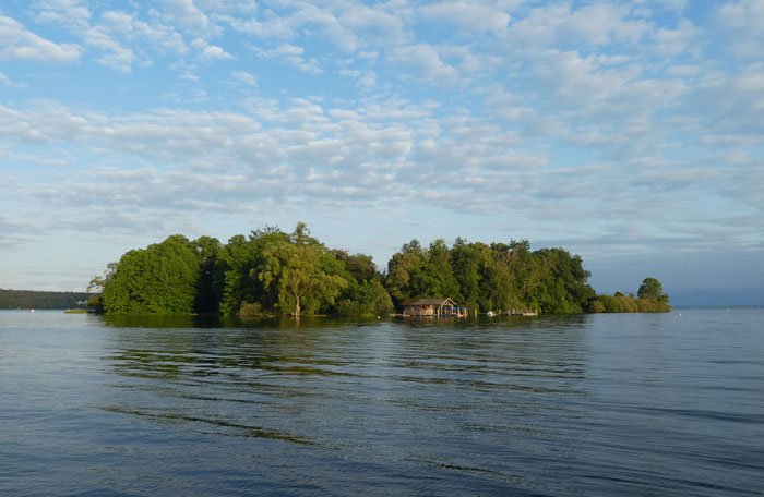 Insel mit dichtem Wald 